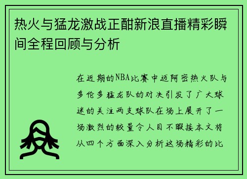 热火与猛龙激战正酣新浪直播精彩瞬间全程回顾与分析